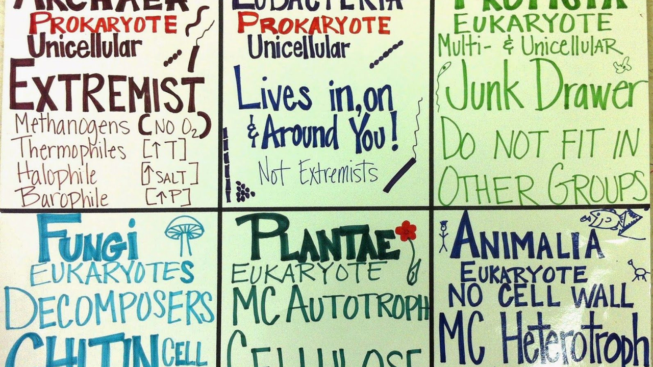 High School Biology